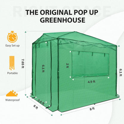 8x6 Portable Heavy-Duty Walk-in Pop-up Greenhouse