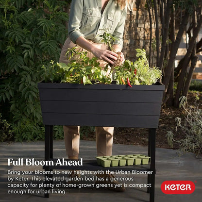 Keter Urban Bloomer 12.7 Gallon Raised Planter Box