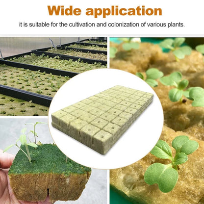 50pcs 25x25x25mm Stonewool Hydroponic Grow Media Cubes Plant Cubes