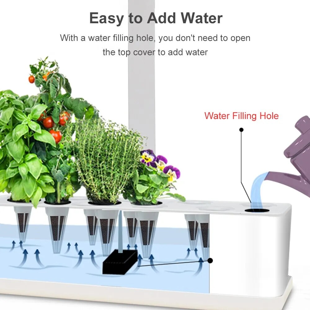 Hydroponics Automatic Growing System