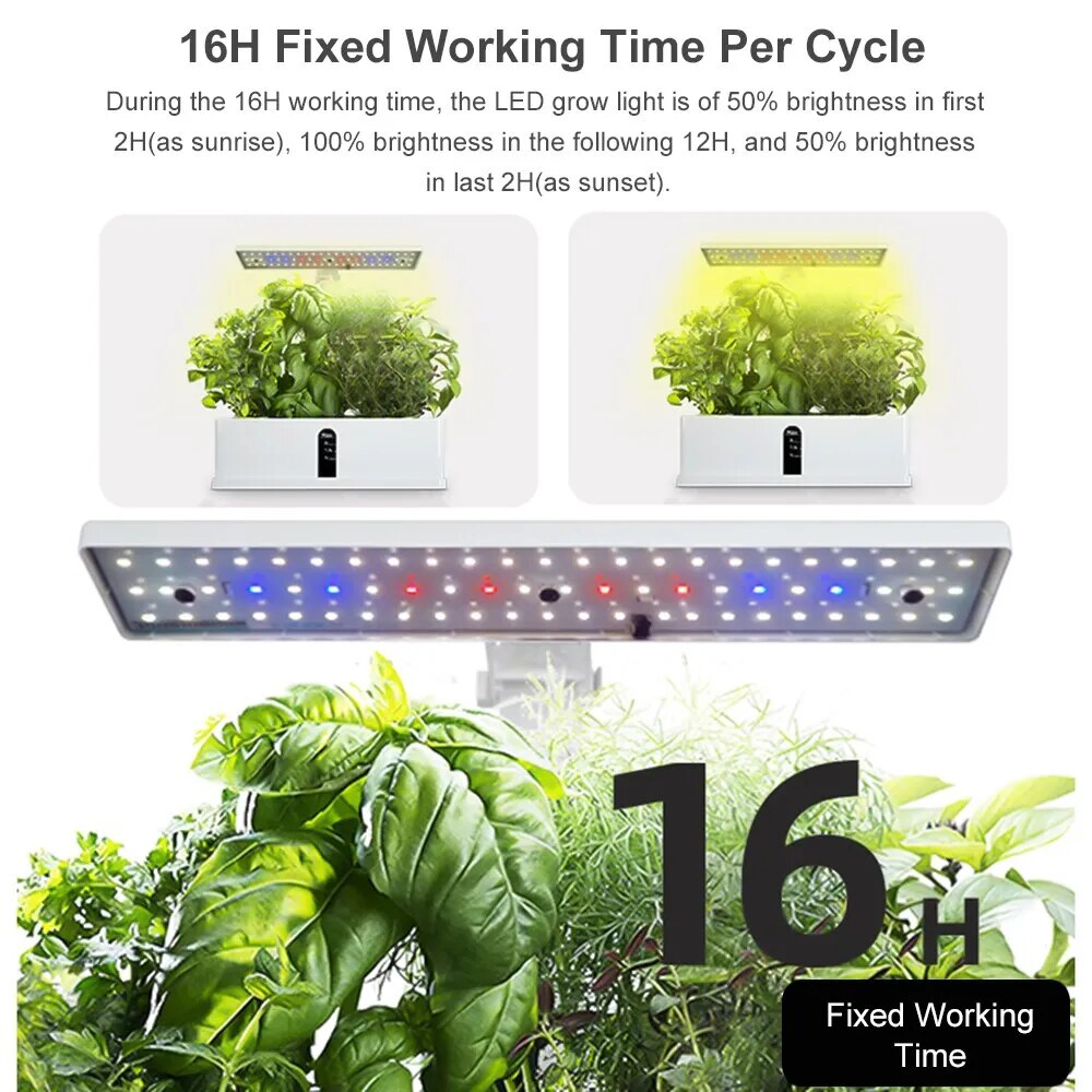 Hydroponics Automatic Growing System